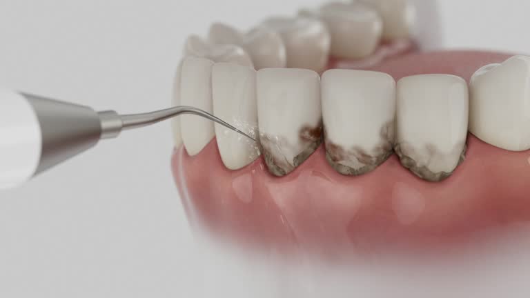 Reliable Dental contractor in Kenilworth, PA by Dentist Open Now